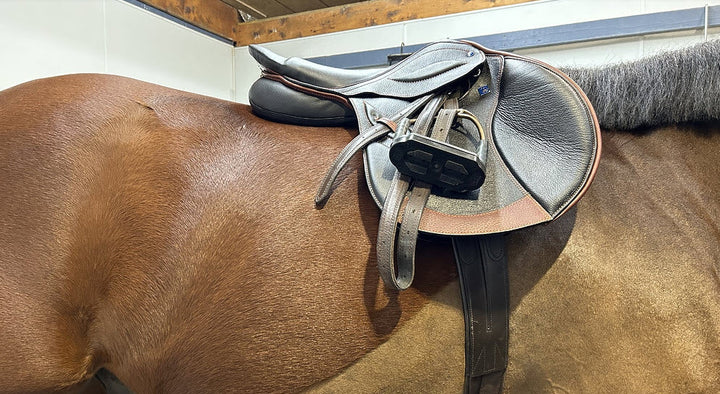 🐴 How to Choose & Buy an English Saddle Online (Without Regrets)