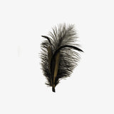 American hat makers black hat feather