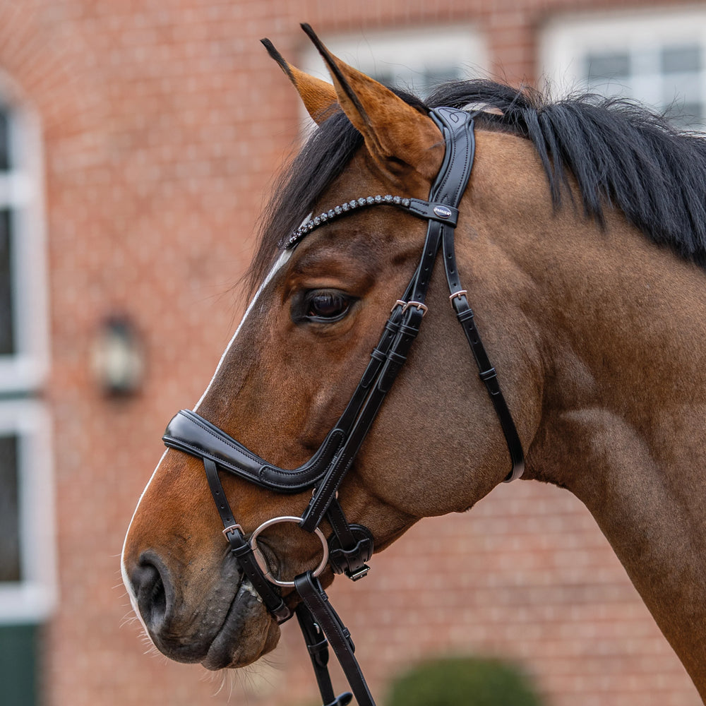 Passier move snaffle bridle powered by Julia Krajewski