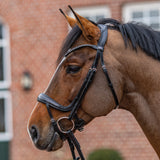 Passier move snaffle bridle powered by Julia Krajewski