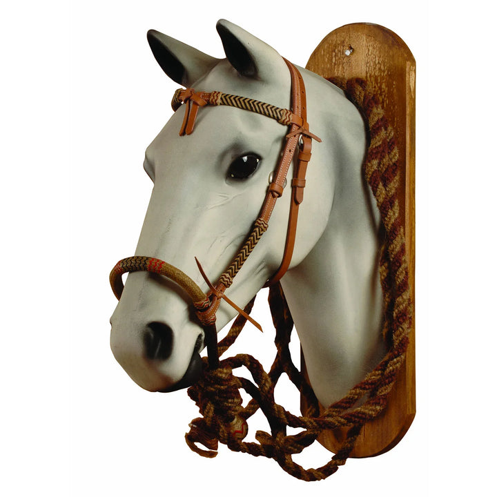Ensemble bosal en cuir brut Pool's d488 DM00077