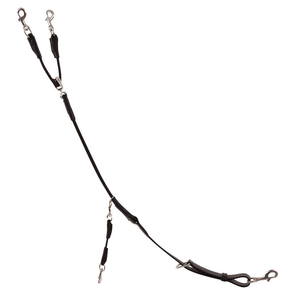 Trust training reins Tyron