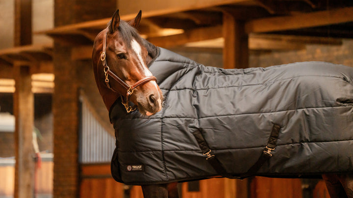 Trust Equestrian Tetris Stalldecke 100 g