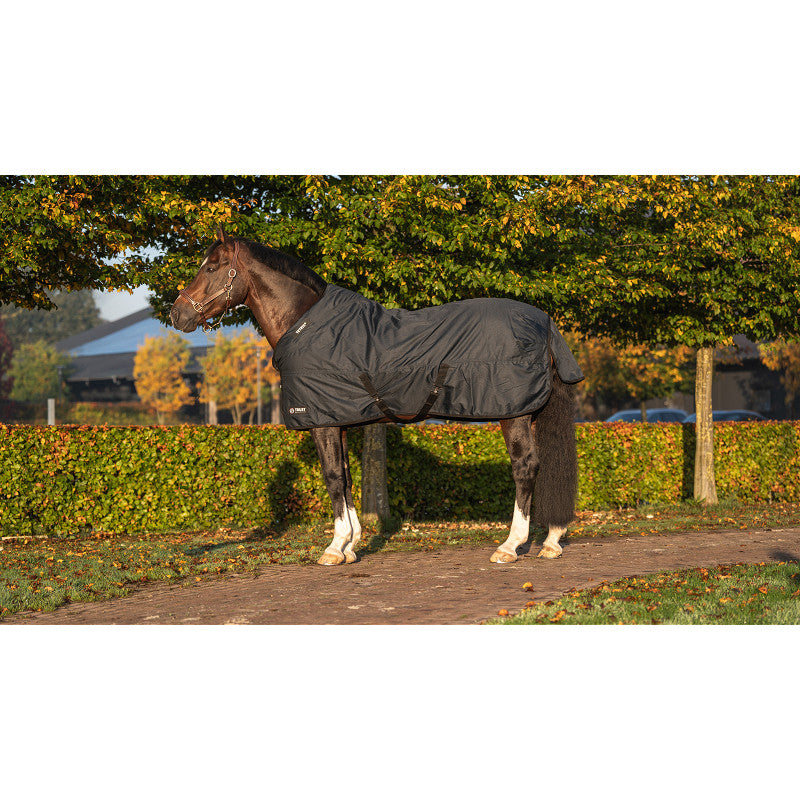 Trust equestrian tetris turnout rug 100 gram