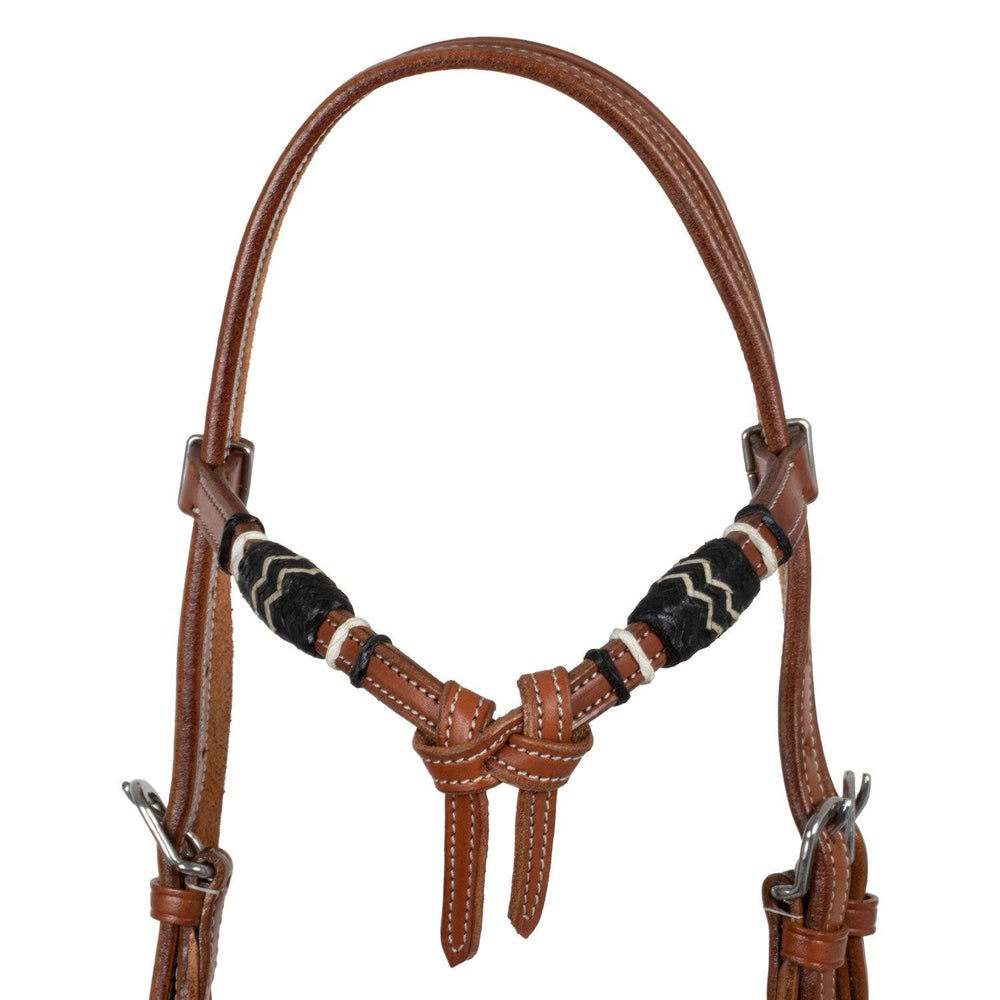 Zweifarbiges Bosal-Set von Pool mit Mecate-Zügeln aus Rosshaar