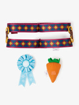 LeMieux Disney hobby horse accessories set Sven