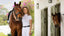 LeMieux Olivia show shirt - HorseworldEU