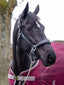 LeMieux stitched leather headcollar - HorseworldEU